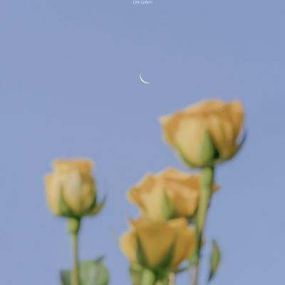 无限切割单职业游戏