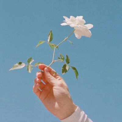 塔防西游记手游下载